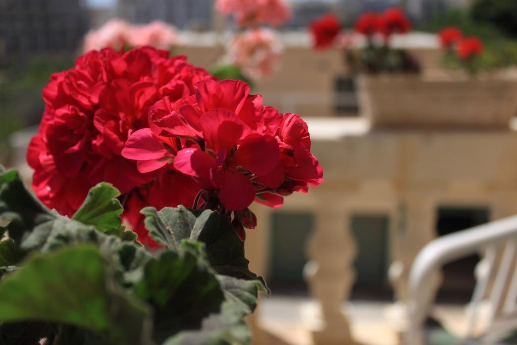 Giljana Ensuite Rooms Shared Terrace & Kitchen St. Julian's Quarto foto